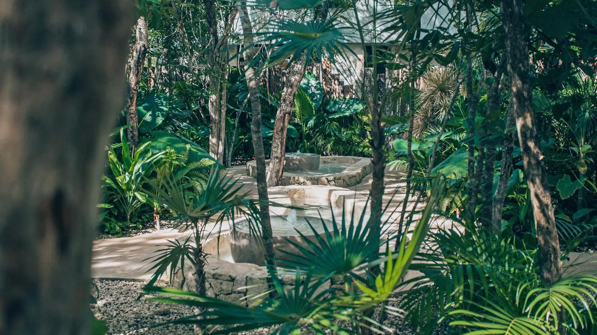 Jungle Boho Villa - Pvt Pool -100Mbs -Concierge 8B Tulum